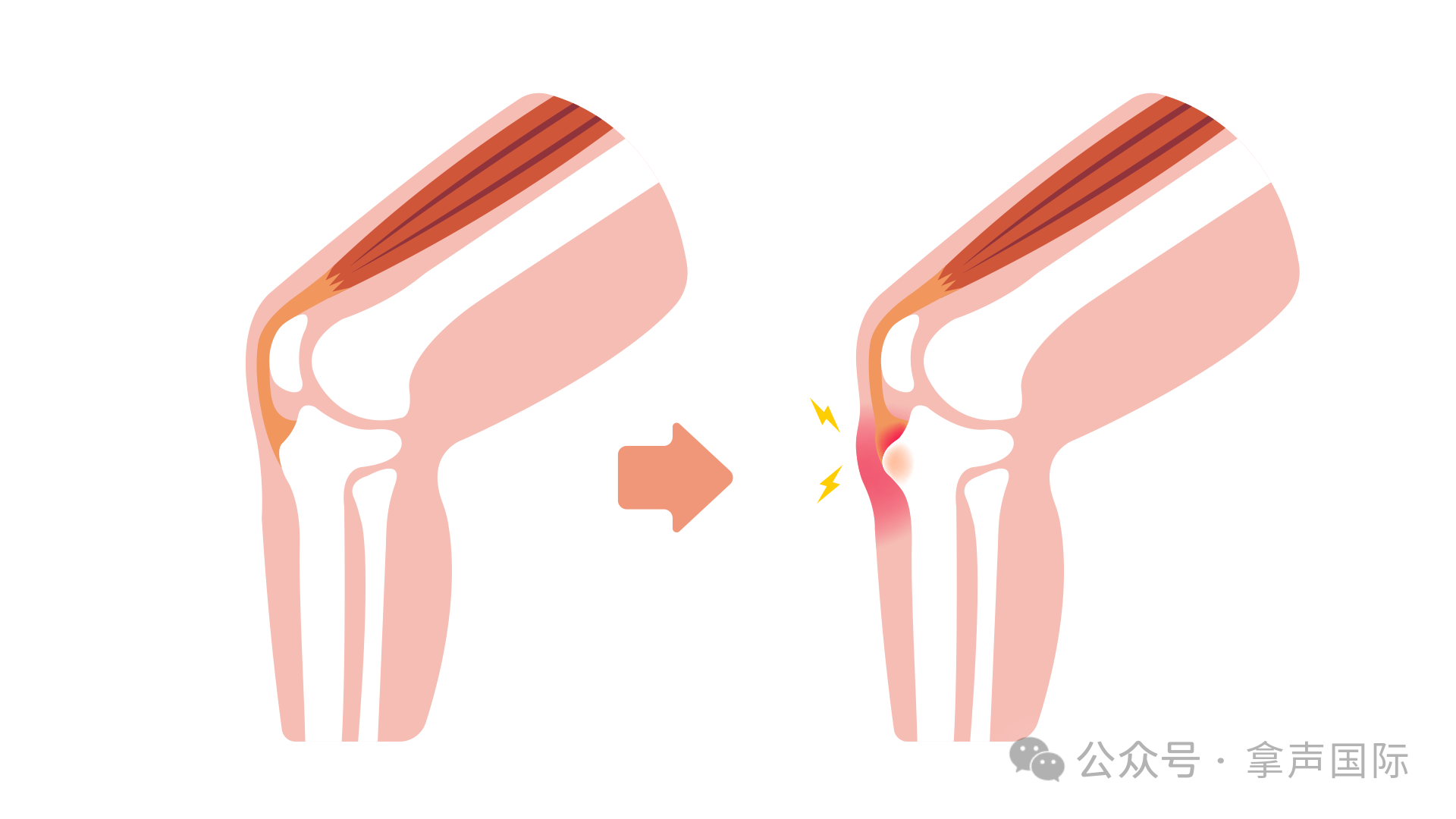 微信图片_2025-09-16_092116_511.png